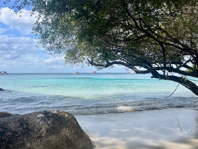 Freedom Beach, Koh Tao, Thaïlande.
© Camille Loupias