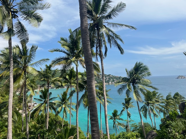 Vue de Shark Bay depuis une forêt de palmiers, Koh Tao, Thaïlande.
© Camille Loupias