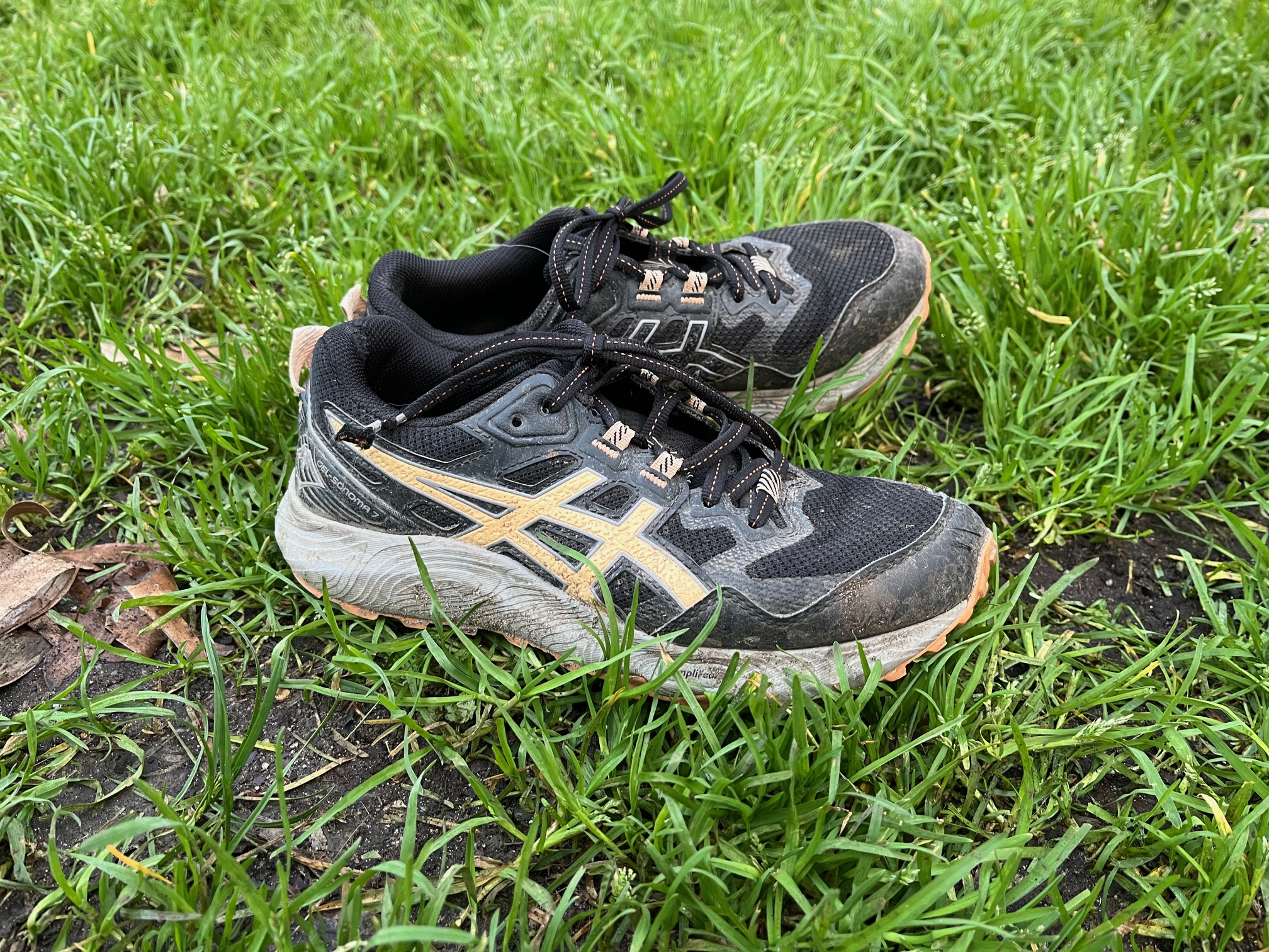 Pourquoi tout le monde se met à courir ?