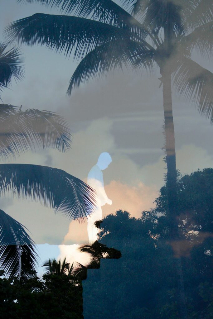 Cette œuvre illustre l'utilisation de l'IA dans la photographie.